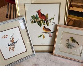 Framed Bird Art