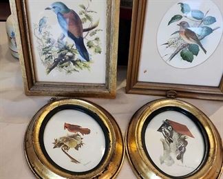 Various Bird Prints