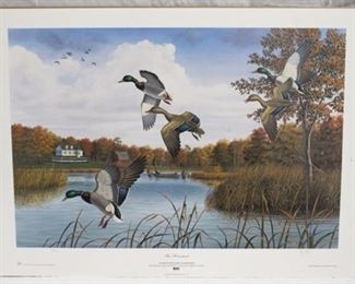 981 - Ford Ducks Unlimited signed print #494/2000 22 x 29
