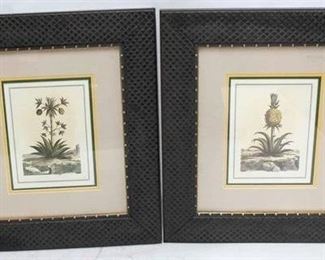 2042 - Pair framed botanicals 21 1/4 x 19
