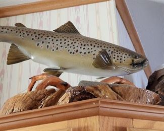 Taxidermy - Trout