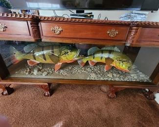 Fabulous Desk/Cabinet with Glass Case/Taxidermy Butterfly Peacock Bass. 