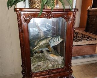 One of the Unique Furniture Pieces with Taxidermy Bass Fish. 