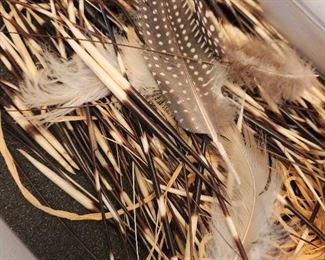 Quills and feathers for Art Projects, Hats, Ceremony, Etc. 