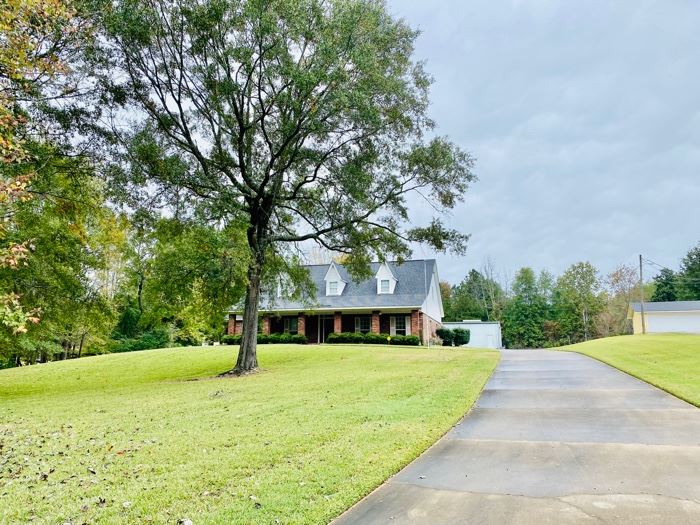 Minden Mid Century and Shop Estate Sale starts on 11/18/2022