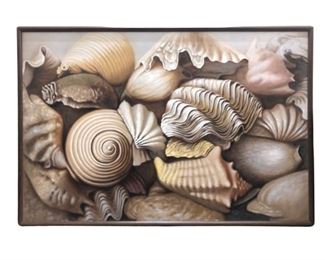 Large "Scattered Shells " Oil on Canvas