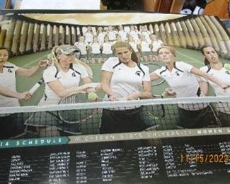 MSU POSTER