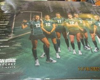 MSU POSTER