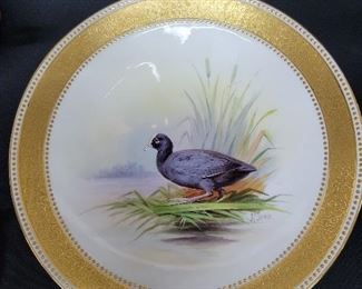 Royal Worcester, hand painted game plate:  Coot