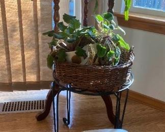 Christmas Cactus On Marble Stand And 2 African Violets