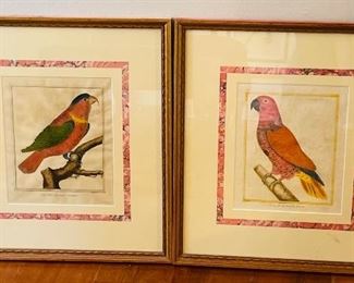 33______$300 
Set of 2 French Antique Parrot prints 18x19 Guinee / Indes orientales 
