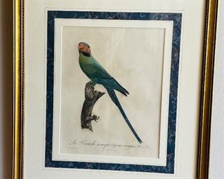 35______$300 
Set of 2 French Antique Parrot prints Barradant Two perruches  20x23