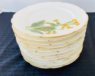 93______$100 
French haindpainted botanicals 11 dessert plates by Limoges (one as a chip)
gold loss