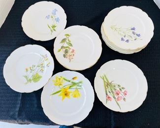 93______$100 
French haindpainted botanicals 11 dessert plates by Limoges (one as a chip)
gold loss