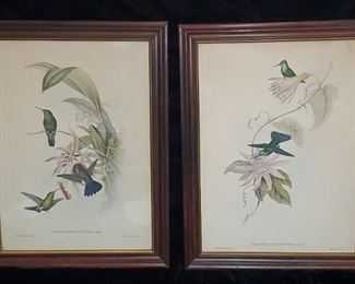 Vintage Gould Hummingbirds