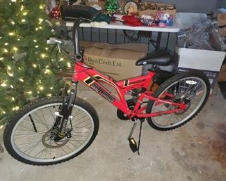 Harley Davidson bike