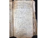 Part of an ephemera lot Dr. Howard Sankey Family History- Nauvoo, Alabama