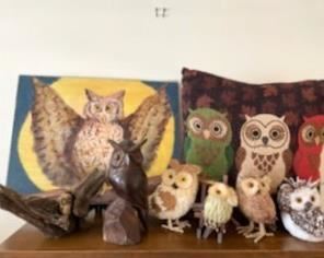 Owls