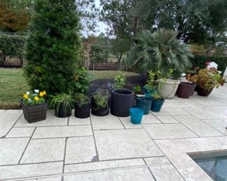 Gardeners Delight - Pots and Plants