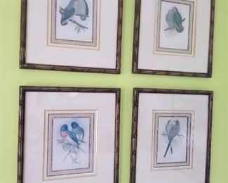 Set of 4 bird prints
