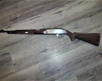 .22 Remington, Long Rifle with Nylon Stock