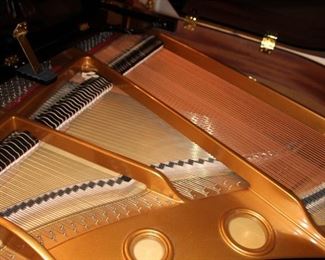 Presell @ $11,998
Stock #004