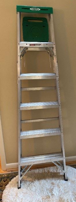 Werner 7 Ladder
