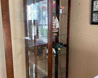 Curio cabinet with a sliding door!