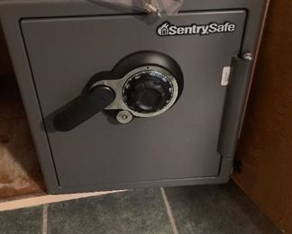 Sentry Fire Safe