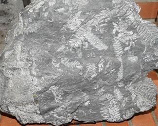 Fern leaves fossil.  This slate fossil is about 2ft wide by 16" tall
