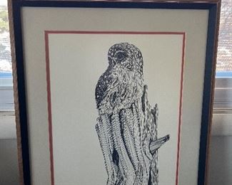Owl Picture... Super Cool 