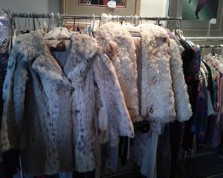 FURS, Lynx and Curly Sheep