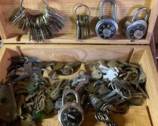 Assortment of Keys and Locks 