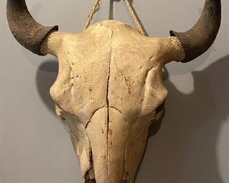 Bison Head & Horns (approximately 25”x20” & about 18” tip to tip)