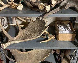 Moose / Elk Antlers / Country Cabin Decor / Antique Pulleys / Antique Corn Shucker  