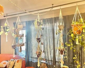 Macramé plant hangers and plants