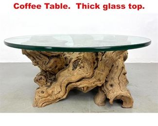 Lot 159 Natural Form Root Base Coffee Table. Thick glass top. 