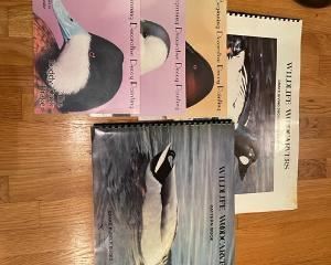 Some of the carving books- these are hard to find!