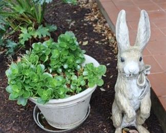 Outdoor Plant - Rabbit