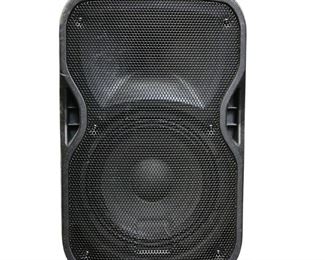 Alto Professional TS110A 10" Loudspeaker
