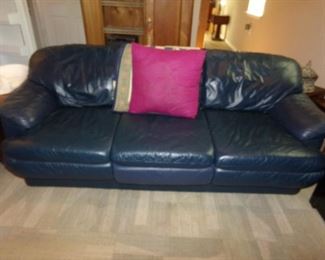Leather Sofa Sleeper