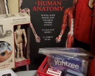 We have many books on the human body