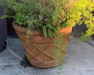 Many large planters.  
You buy it, you move it!