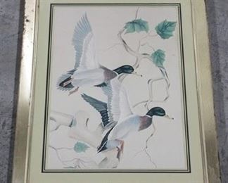 928 - Framed duck print 20 1/2 x 16 1/2
