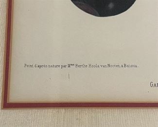 berthe hoola van nooten chromolithograph