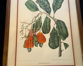 berthe hoola van nooten chromolithograph