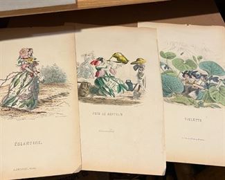 Les Fleurs Animees Original JJ Grandville Coloured French Book Engravings 