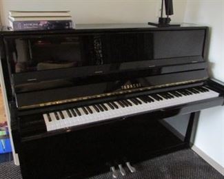 This very nice piano is free.  We will give it to you!!
