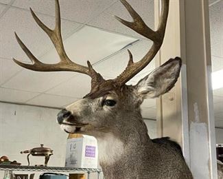 Buck mount