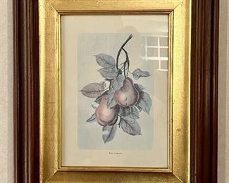 (2) Domain Furniture Fruit Prints